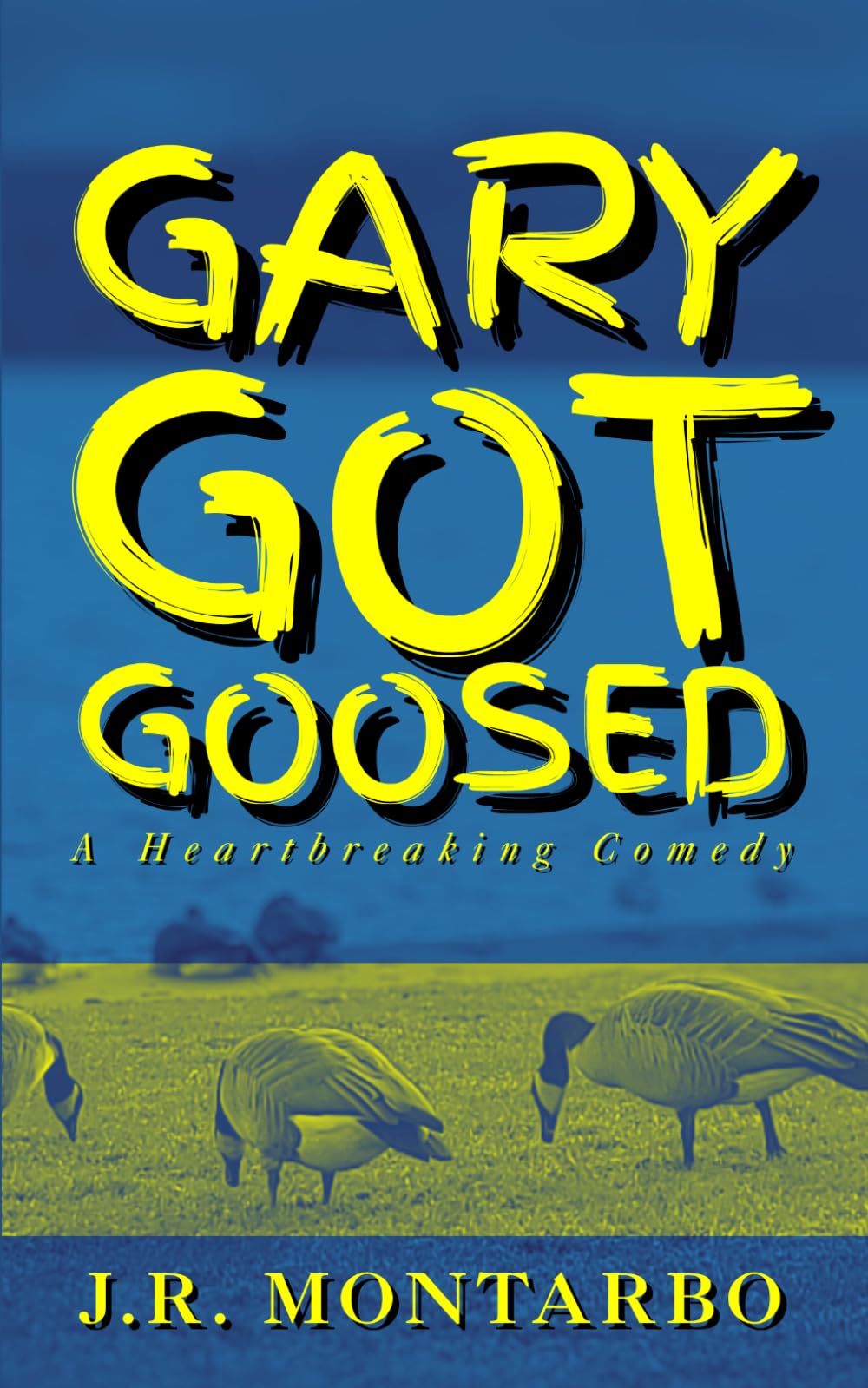 Gary Got Goosed